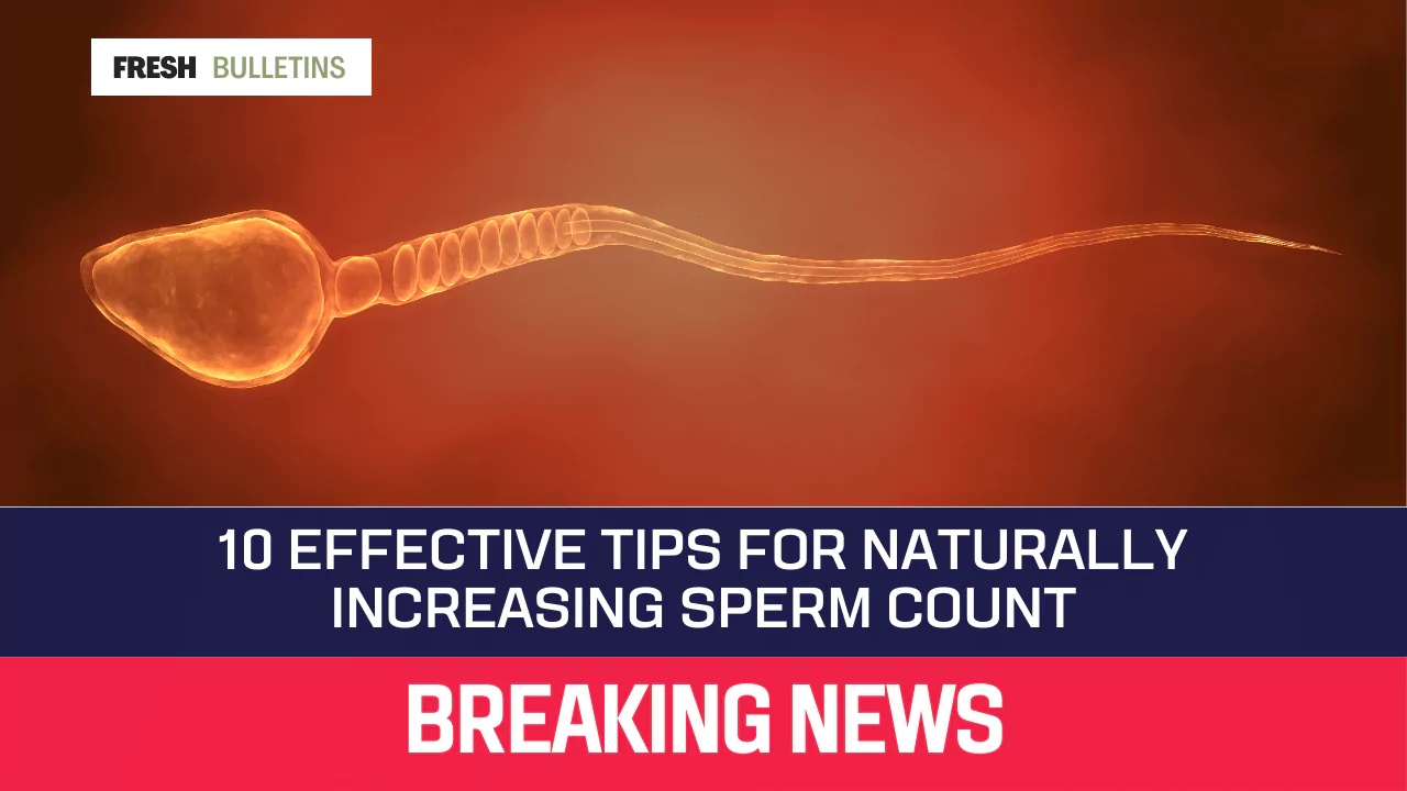 Effective Tips For Naturally Increasing Sperm Count