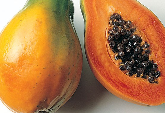 Papaya