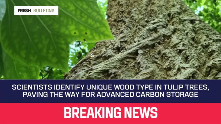 Scientists Identify Unique Wood Type in Tulip Trees