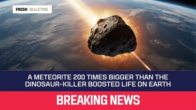 A Meteorite 200 Times Bigger Than the Dinosaur-Killer Boosted Life on Earth